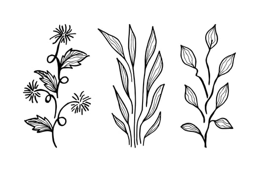 Hand drawn vector design floral elements