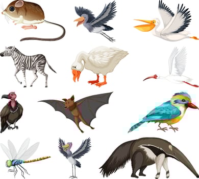 Different kinds of animals collection vector
