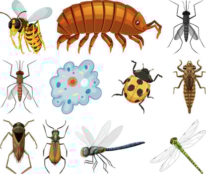 Different kinds of insects and animals on white background vector