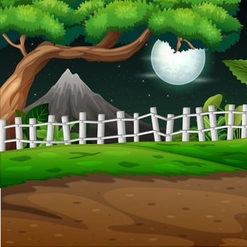 Natural environment scenes landscape at night illustration vector