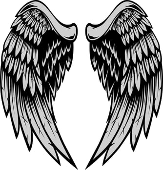 Wings Illustration in tattoo style vector