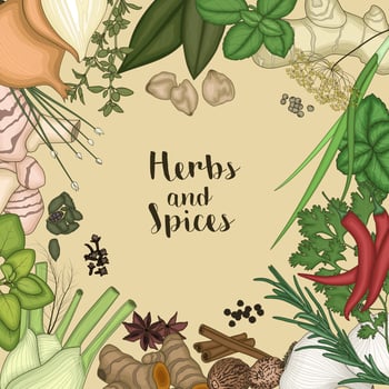 Vector illustration of Background design with herbs and spices
