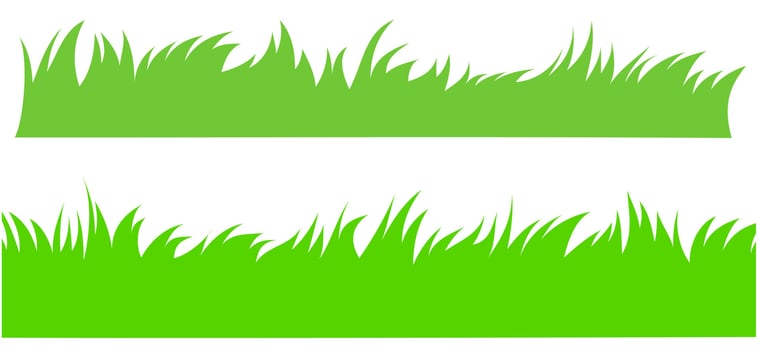 green grass illustration isolated white background. vector