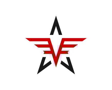 Abstract star shape with wings and V letter initial inside vector
