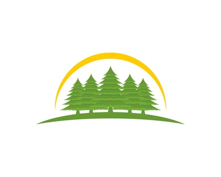 Green pine forest with sun swoosh on the top vector