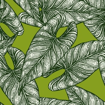 Tropical araceae leaf seamless pattern. Jungle leaves background. vector