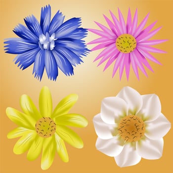Flower Set Vector