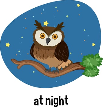 English prepositions of time with night scene vector