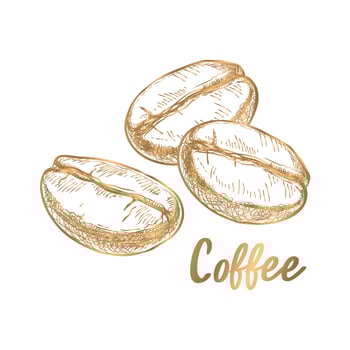 vector. coffee beans with golden stripes on a white background vector