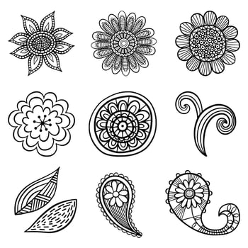 Hand Drawn Doodle Floral Elements vector