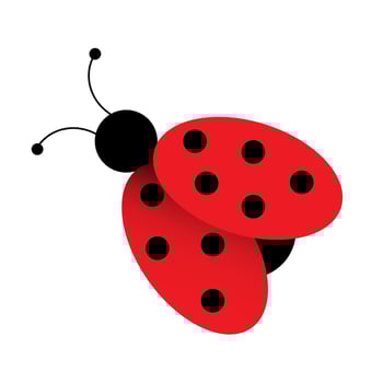Ladybug, red beetle graphic. Isolated on white background. Illustration for printing, backgrounds, wallpapers, covers, packaging, greeting cards, posters, stickers, textile and seasonal design. vector