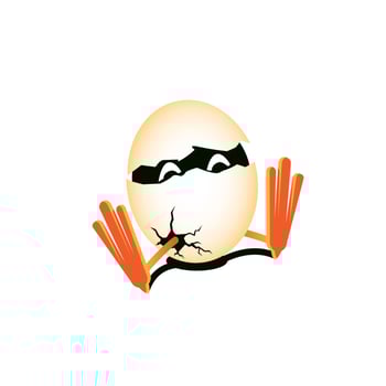 broken egg. chicken egg cartoon vector