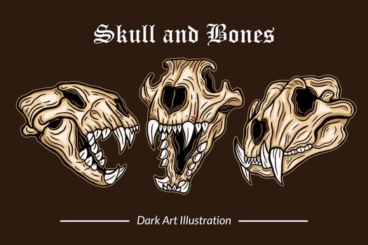 Set Dark Art Skull Head and Bones horror vintage Collection for tattoo and t-shirt hand drawn vector