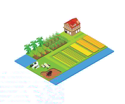 Illustration of agriculture and livestock area map in isometric style vector