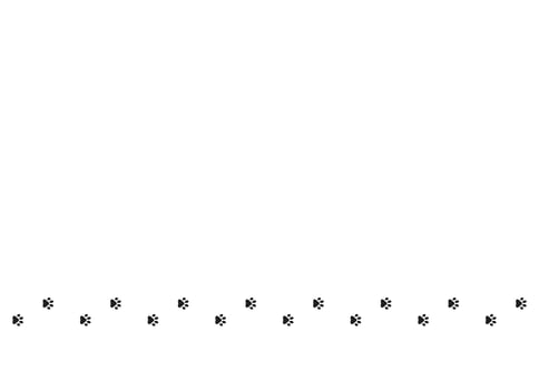 vector Paw vector foot trail print of cat. Dog, puppy silhouette animal diagonal tracks for t-shirts, backgrounds, patterns, websites, showcases design, greeting cards, child prints and etc.