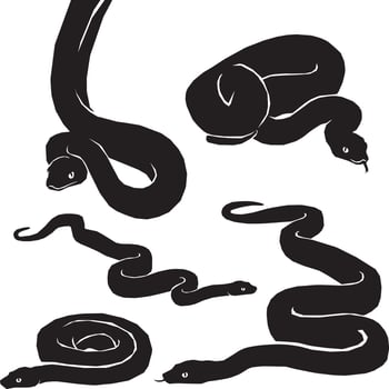 big snake silhouette vector