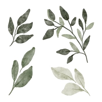 Foliage leaf floral watercolor paint collection vector