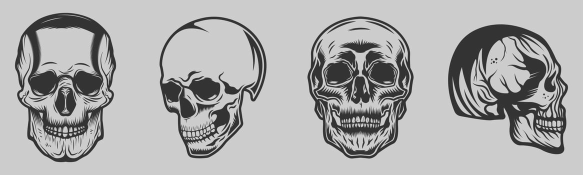 Vintage Skull monochrome vector