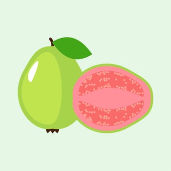 Summer tropical fruits for healthy lifestyle. Guava, whole fruit and half. Vector illustration cartoon flat icon isolated on color