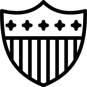 shield vector illustration on a background.Premium quality symbols. vector icons for concept and graphic design.