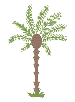 Vector tropical palm tree clip art. Jungle foliage illustration. Hand drawn flat exotic plant isolated on white background. Bright childish summer greenery illustration.