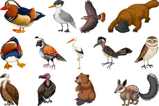 Different kinds of animals collection vector