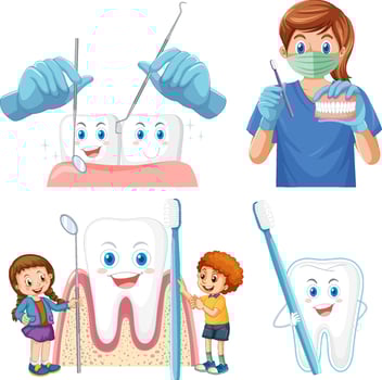 Set of all types of teeth on white background vector