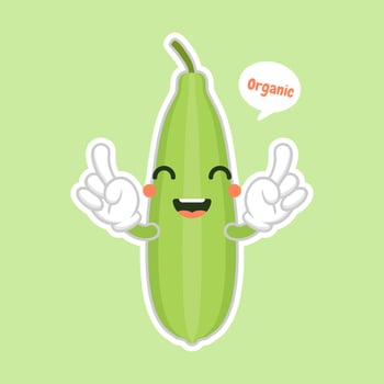 Cute and kawaii Luffa cartoon character. Loofah Luffa acutangula, or sponge gourd, vegan plant. Hand drawn botanical vector illustration. Loffa vegetarian plant. Vegetable vector illustration