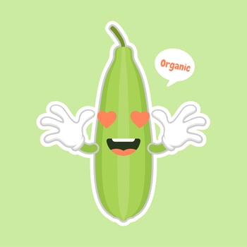 Cute and kawaii Luffa cartoon character. Loofah Luffa acutangula, or sponge gourd, vegan plant. Hand drawn botanical vector illustration. Loffa vegetarian plant. Vegetable vector illustration