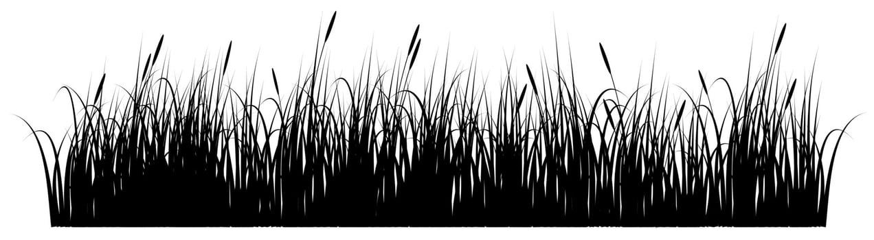 grass black and white vector