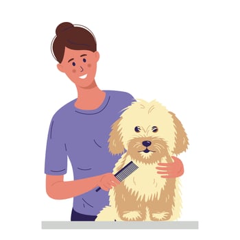 A young woman is combing a little dog vector