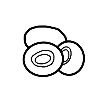 Kiwi Fruit Healthy Food Hand drawn organic line Doodle vector