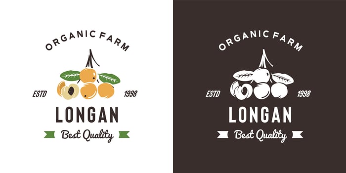 vintage longan fruit logo illustration suitable for fruit shop and fruit farm vector