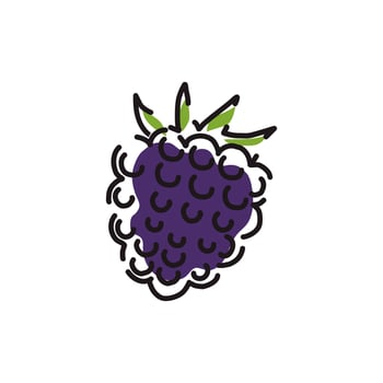Juicy blackberry icon on a white isolated background. Vector illustration.