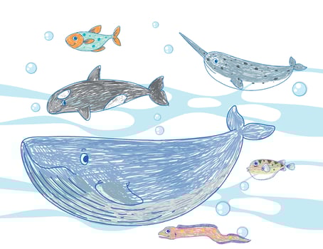 Coloured hand drawn sea animals collection vector