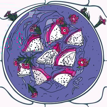 Flat lay Smoothie bowl, Acai bowl with dragonfruit and dianthus flowers. Healthy breakfast. Great for Spring or Summer backgrounds, cards, banners. Vector