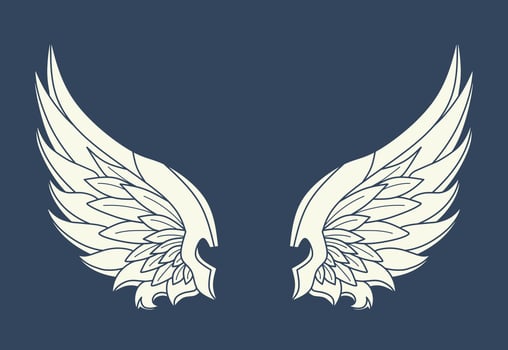 Vector illustration of white design wings