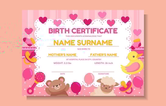 Baby Girl Fun Birth Certificate vector