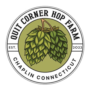 Hop brewing beer logo design template vector
