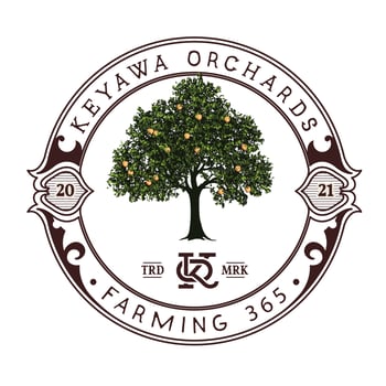 Orchard farm logo template vector