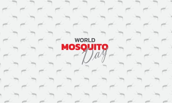 Mosquito Vector with world map Background, World Mosquito day, Malaria Day, dengue fever.