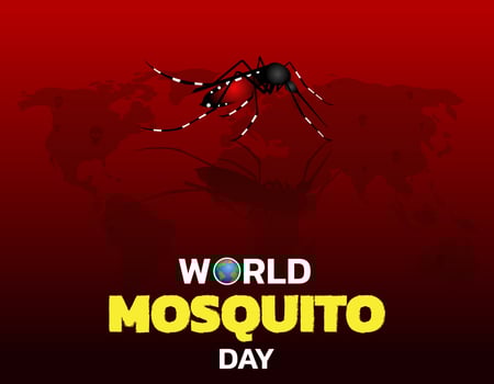 Mosquito Vector with world map Background, World Mosquito day, Malaria Day, dengue fever.