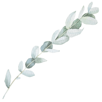 Natural leaf watercolor png