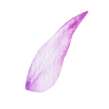 Watercolor flower petals png