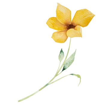 yellow flower watercolor png
