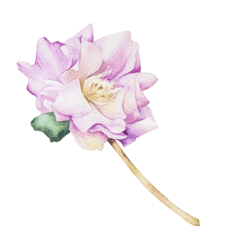 Watercolor purple flower png