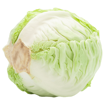 Cabbage cutout, Png file