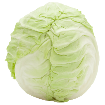 Cabbage cutout, Png file