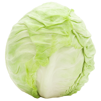 Cabbage cutout, Png file