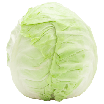 Cabbage cutout, Png file